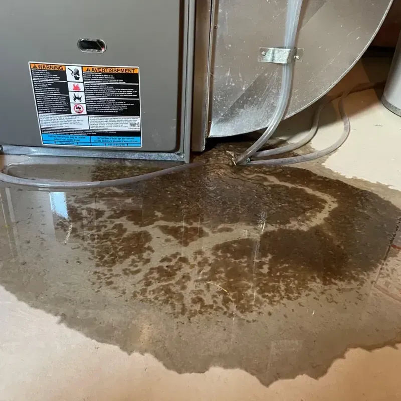 Appliance Leak Cleanup in Ventura, CA